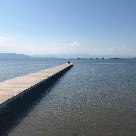 Albergue Delta L'Eucaliptus Εξωτερικό φωτογραφία