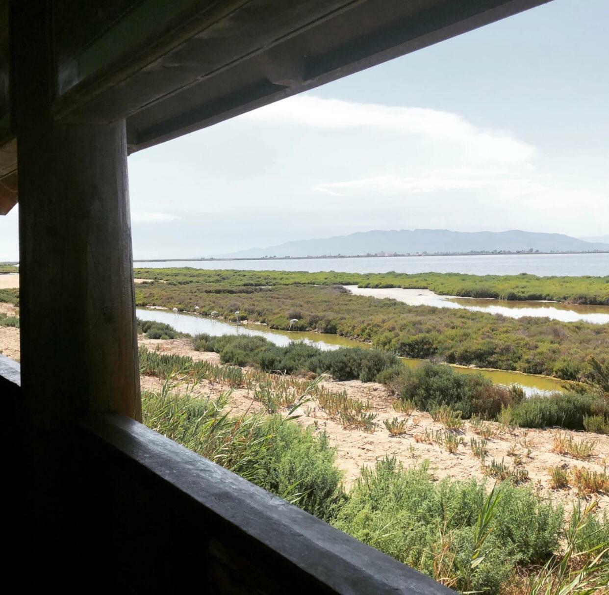 Albergue Delta L'Eucaliptus Εξωτερικό φωτογραφία