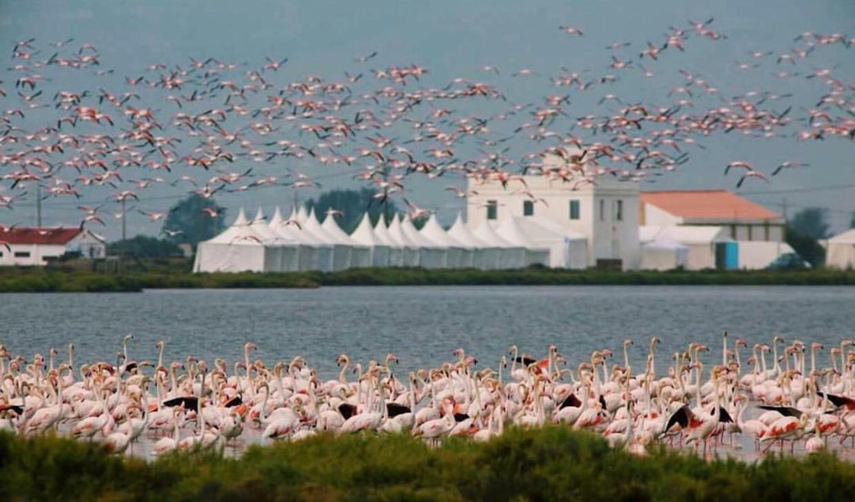 Albergue Delta L'Eucaliptus Εξωτερικό φωτογραφία